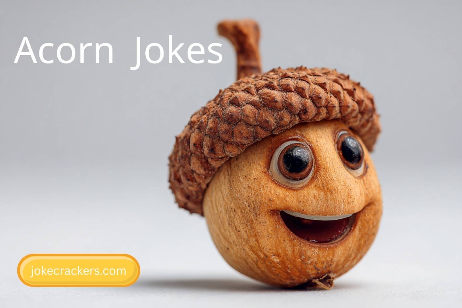 acorn jokes