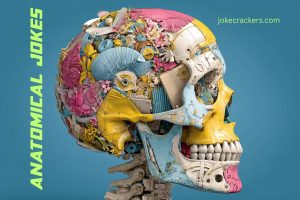 anatomical jokes