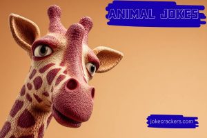 animal jokes