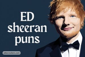 ed sheeran puns
