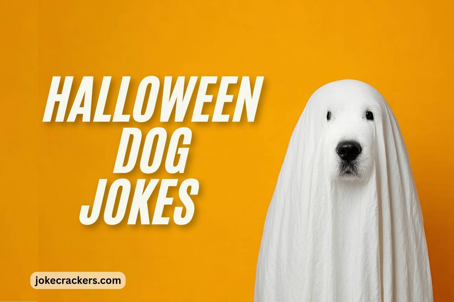 halloween dog jokes