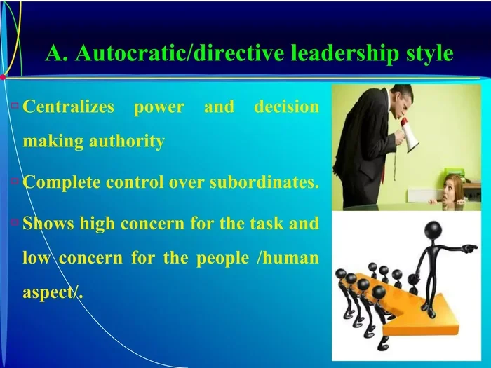 Plenary Authority Meaning Explained Simply and Clearly
