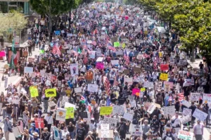 Sedition Meaning Explained and Why It Really Matters